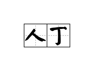 人丁|詞語:人丁 (注音:ㄖㄣˊ ㄉㄧㄥ) 